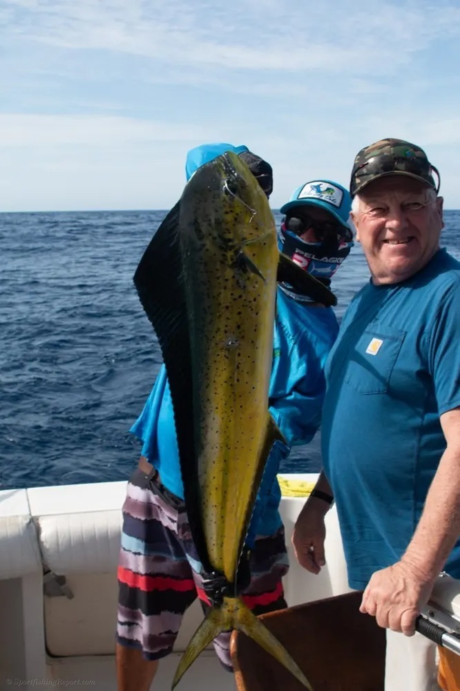 Marlin Madness and Dorado Thunder Unleashed