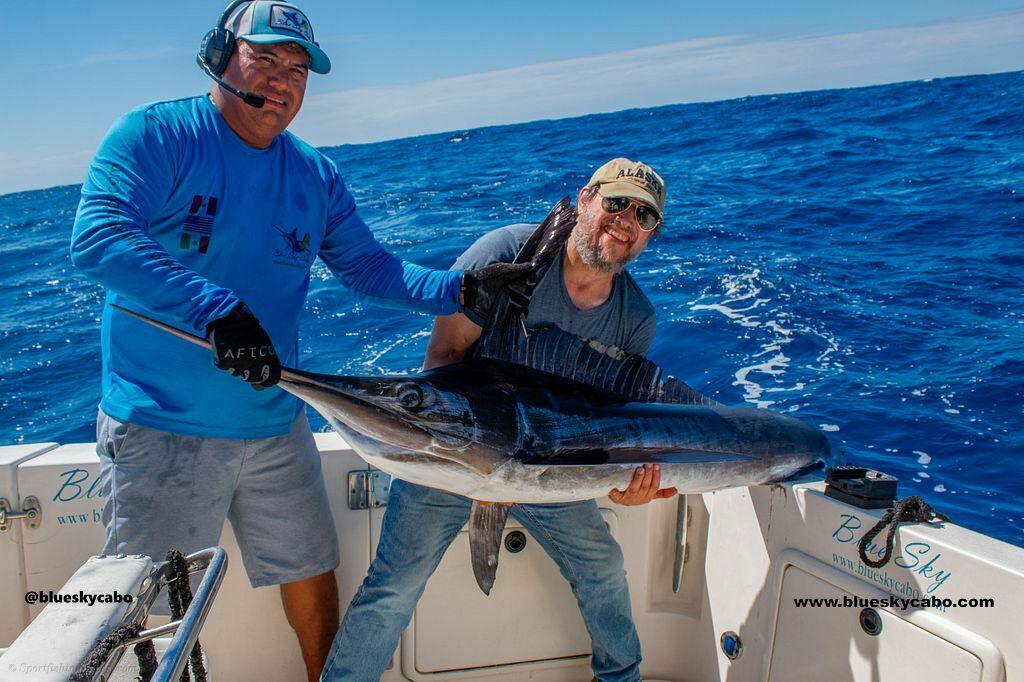 Marlin Showtime in Los Cabos