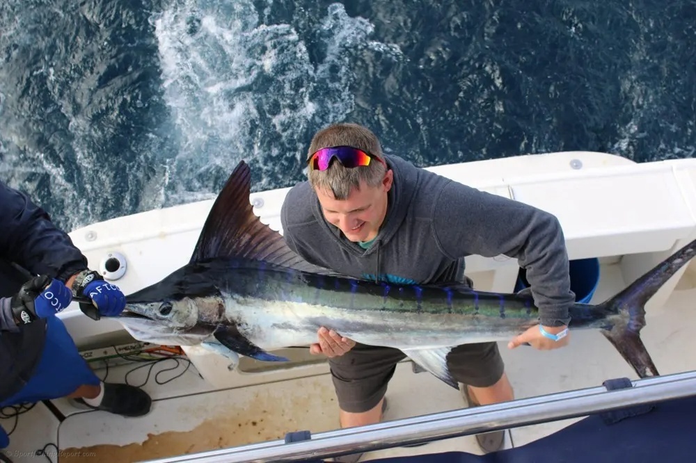 A Marlin Morning off Land's End