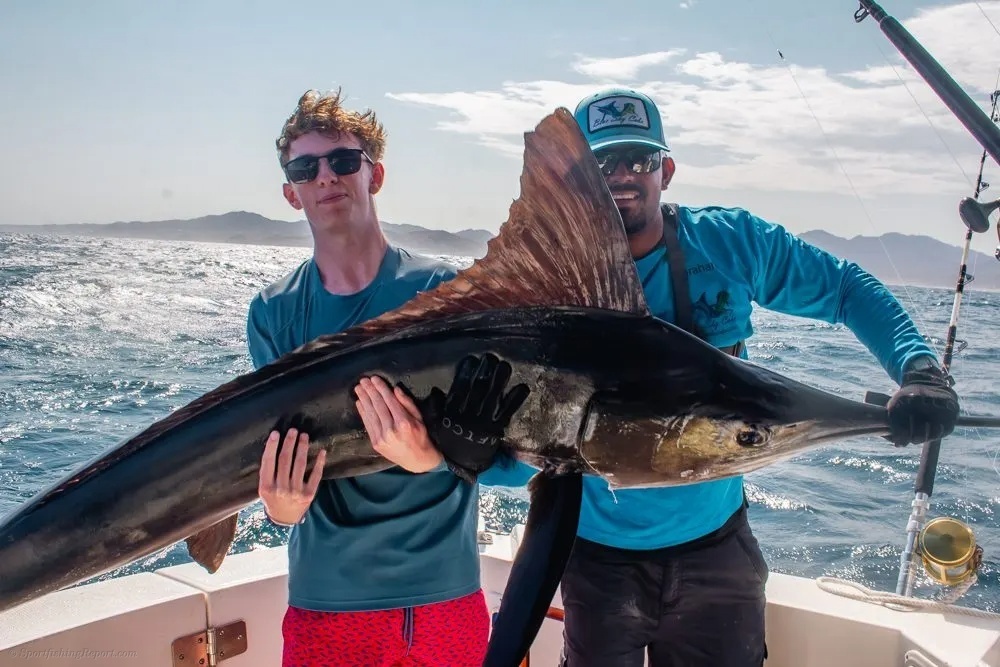 Marlin Fever in Cabo