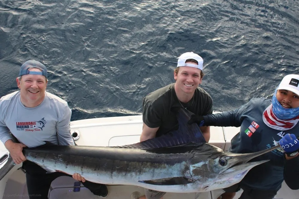 Marlin Mayhem Off Cabo