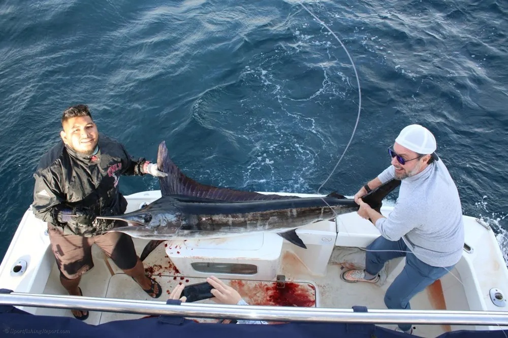 Marlin Memories in Los Cabos