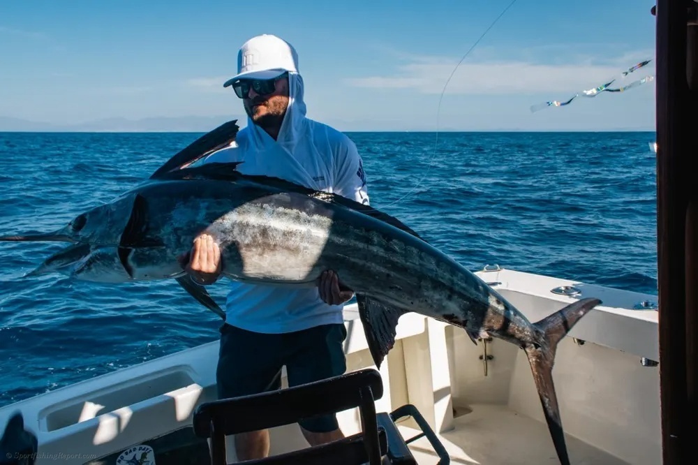 Marlin and Dorado – Two Incredible Big-Game Victories