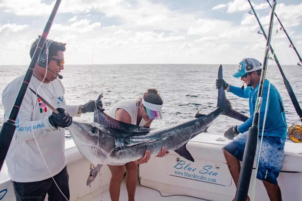 Marlin Thrills off the Pacific Side