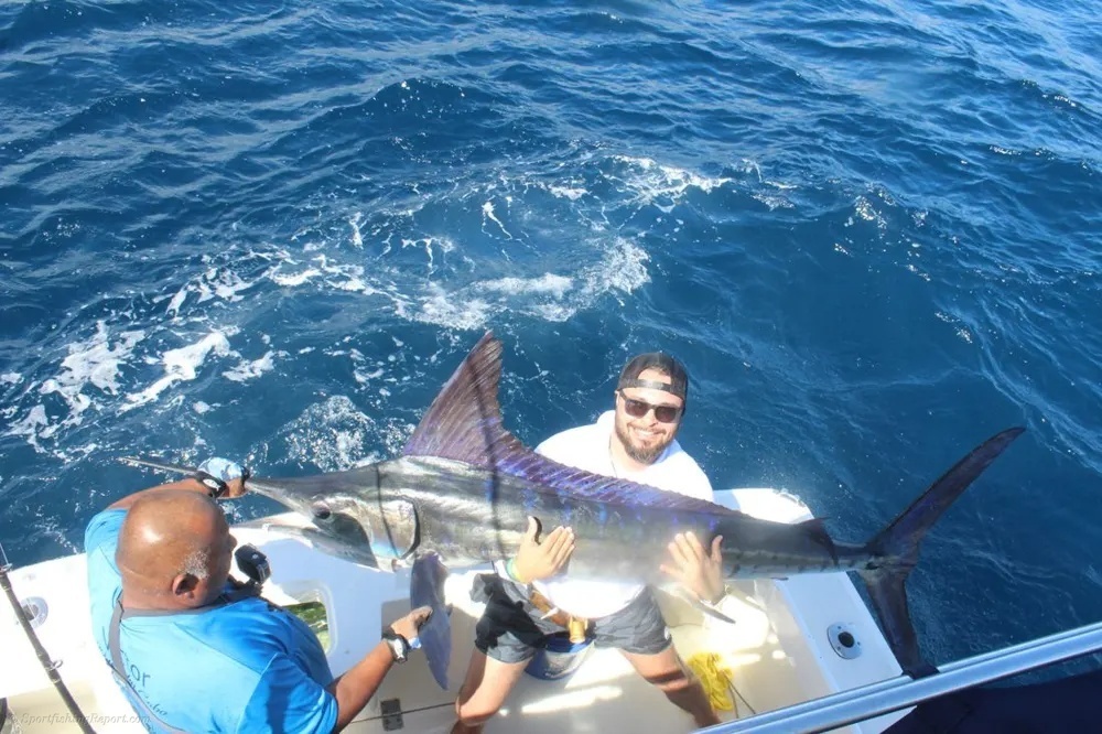 A Perfect Marlin Morning