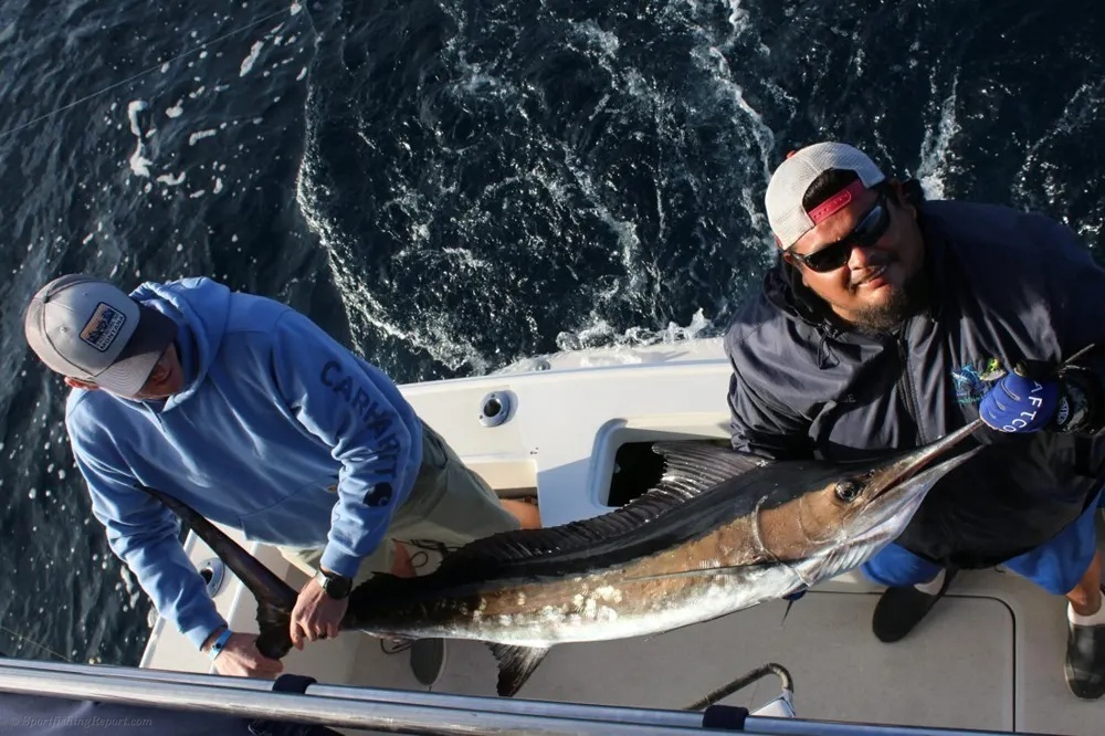 A Marlin Morning in Los Cabos
