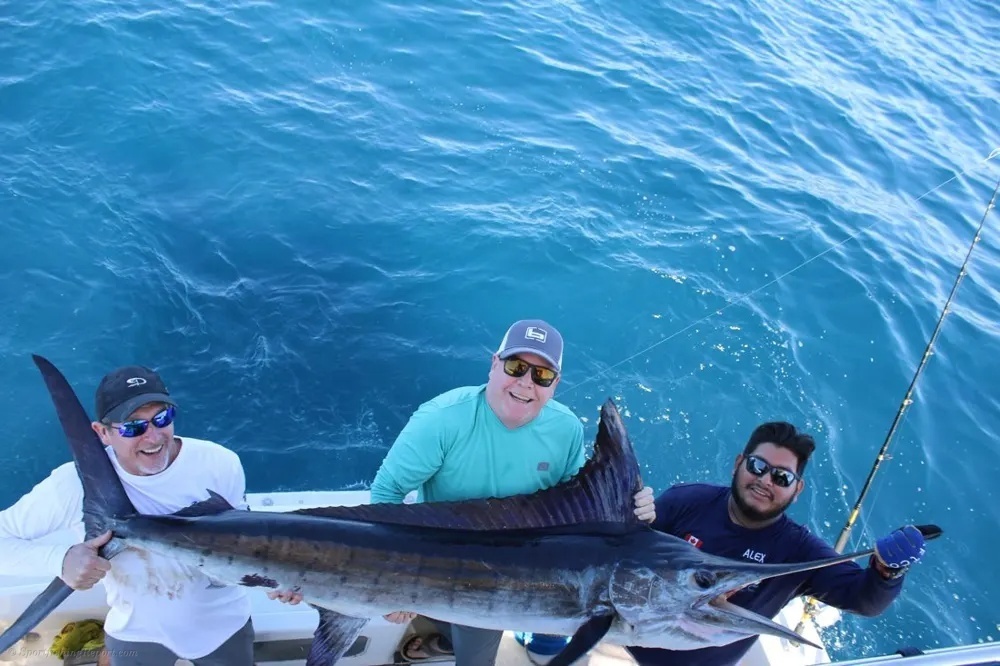 Fighting Marlin in Los Cabos