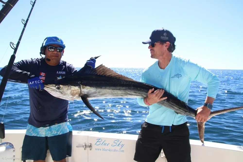 Marlin and Dorado – A Cabo Fishing Thriller