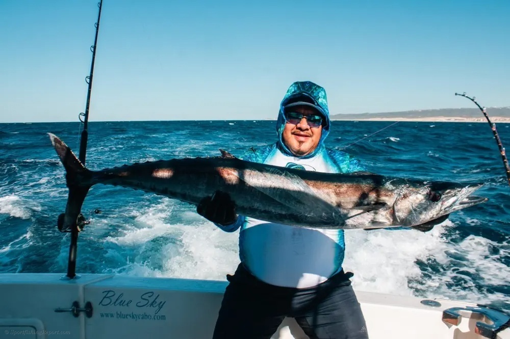 Tuna Deliver a Double Punch