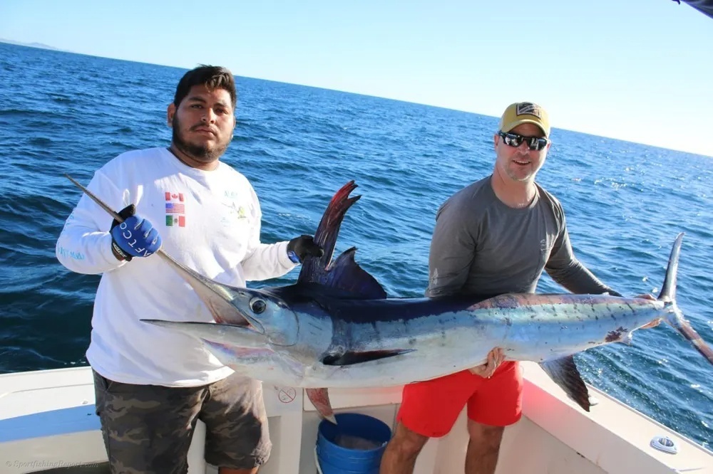 Marlin Showdowns and Dorado Fire