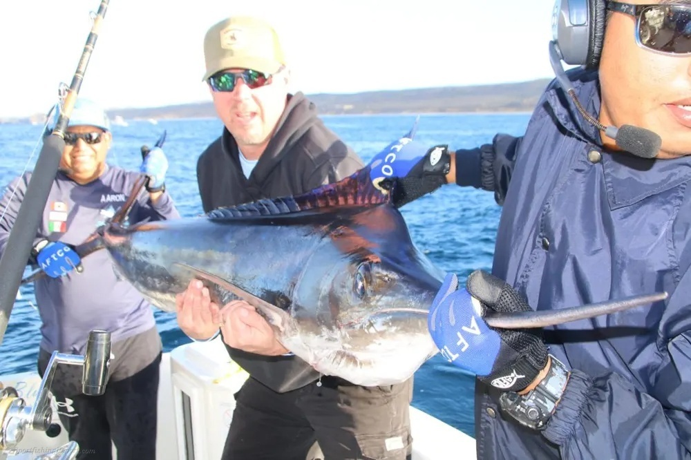 Two Offshore Predators Headline an Incredible Cabo Charter