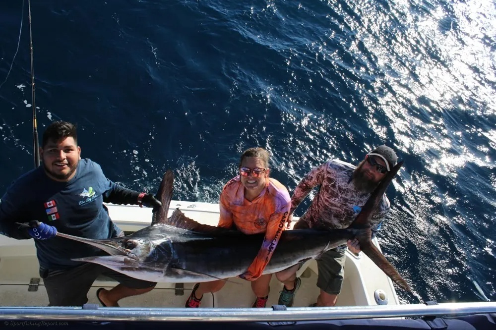 Marlin Under the Sun in Cabo