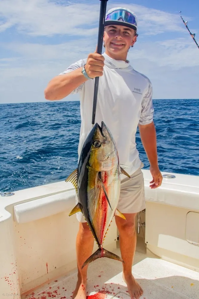 Marlin and Tuna Deliver Big-Game Excitement