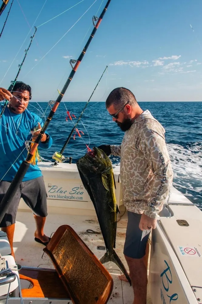 Marlin and Dorado – Two Species, One Epic Day