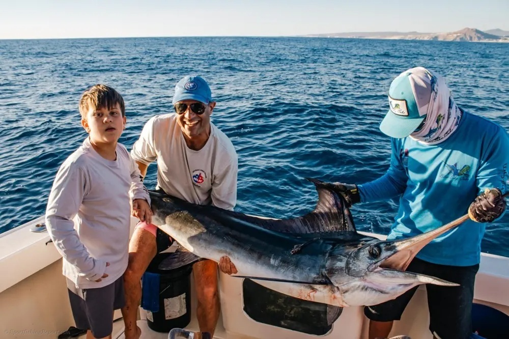 Marlin and Tuna Turn Up the Pressure