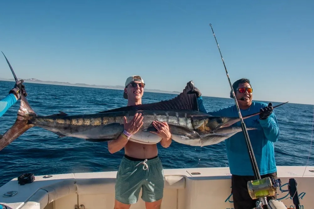 Marlin and Dorado – Double the Big-Game Action