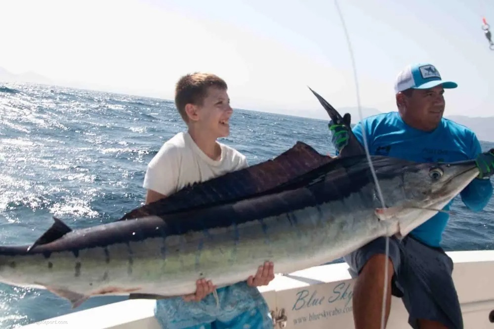 Marlin and Dorado – The Ultimate Double Catch
