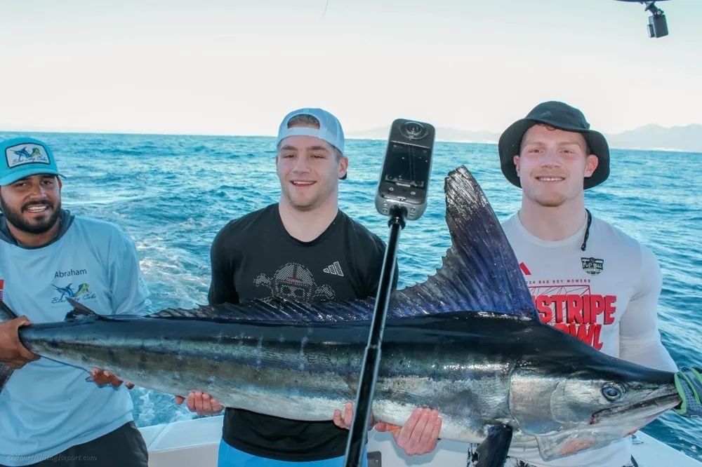 Leaping Marlin in Baja