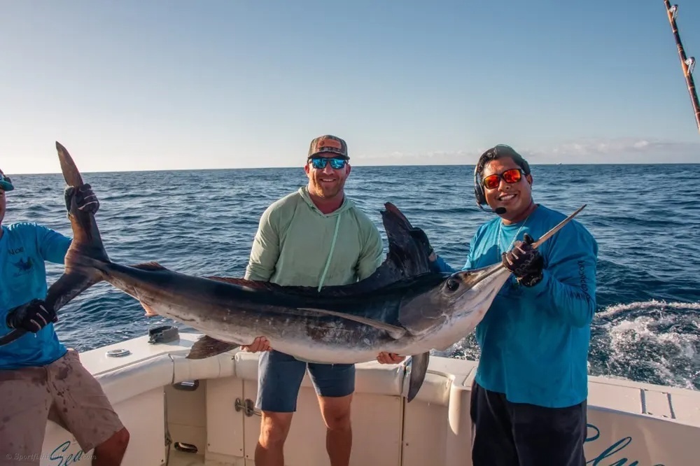 Marlin Action and Dorado Fire Ignite Cabo