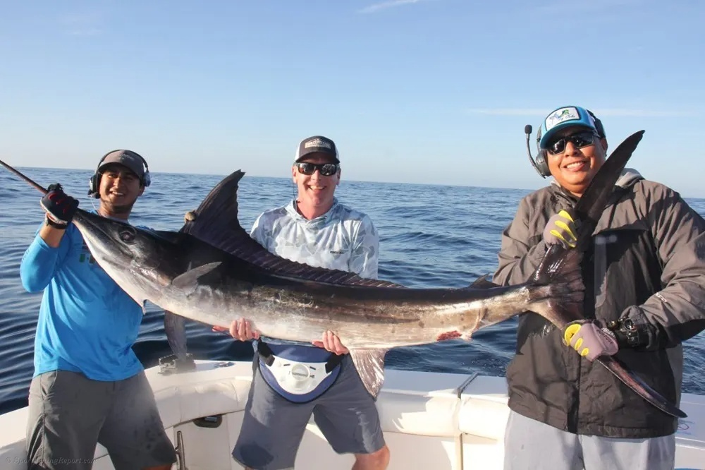Marlin Memories in the Sea of Cortez