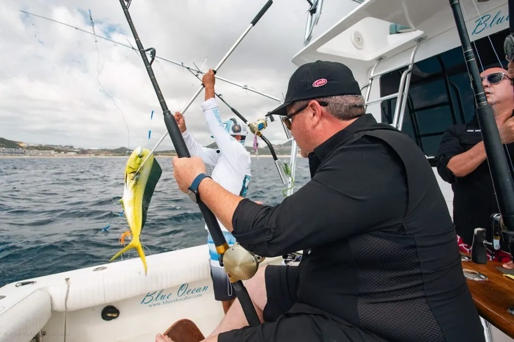 Dorado Gold Adds Spark to the Adventure!