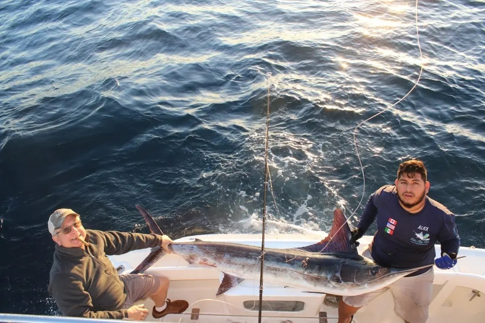 Classic Marlin Fishing in Cabo San Lucas
