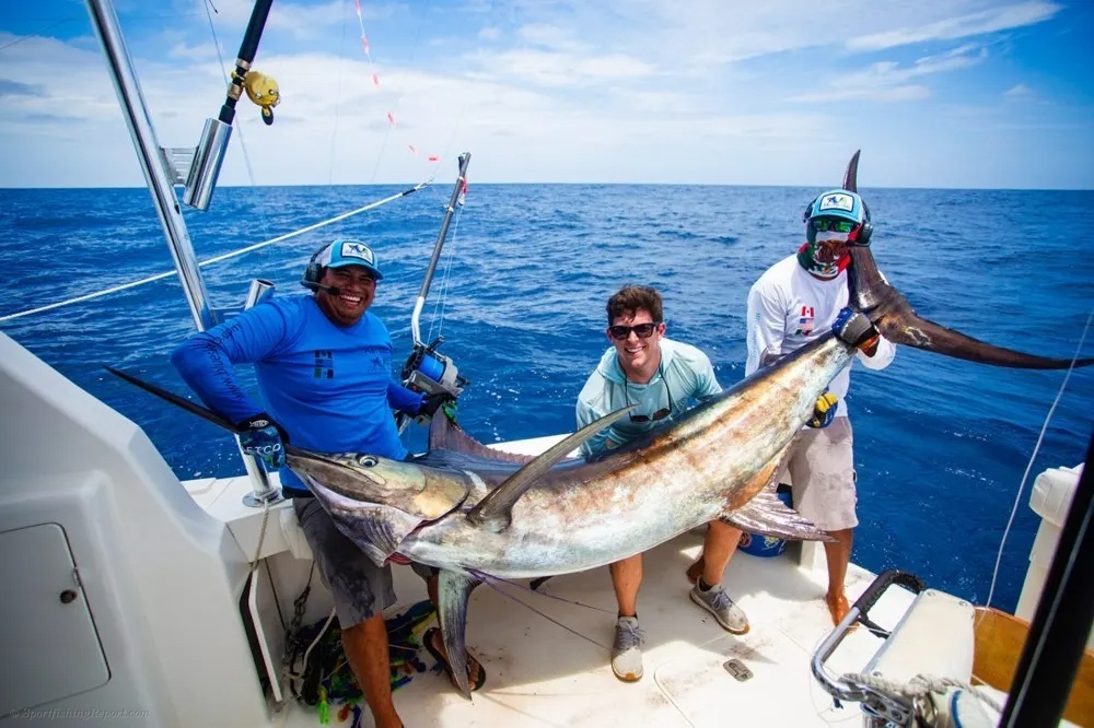Hooked Up on Marlin in Baja