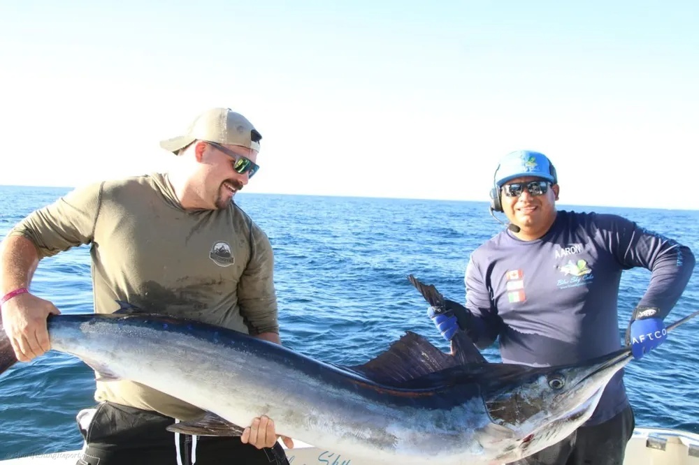 Fighting Marlin off the Cabo Coast