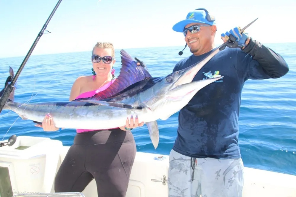 Marlin Hookup in Cabo San Lucas