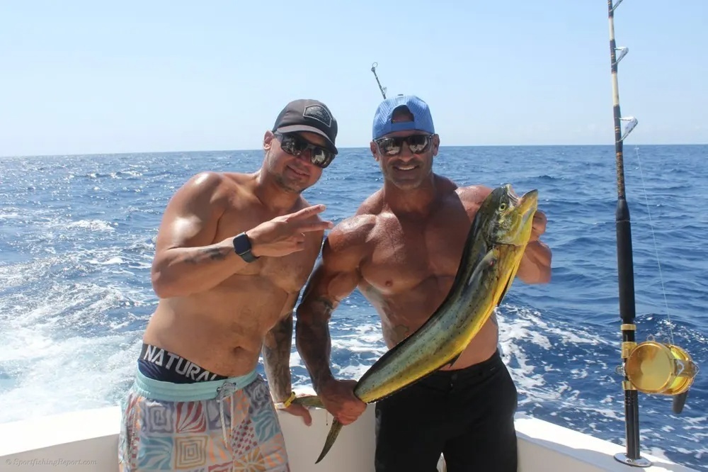 Marlin and Dorado – The Perfect Pacific Combination