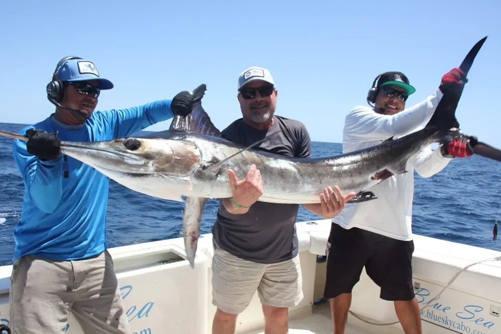 Jumping Marlin in Cabo