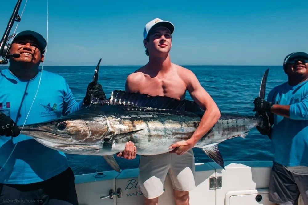 Marlin on the Surface