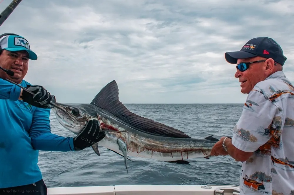 Marlin Adventure in Cabo San Lucas