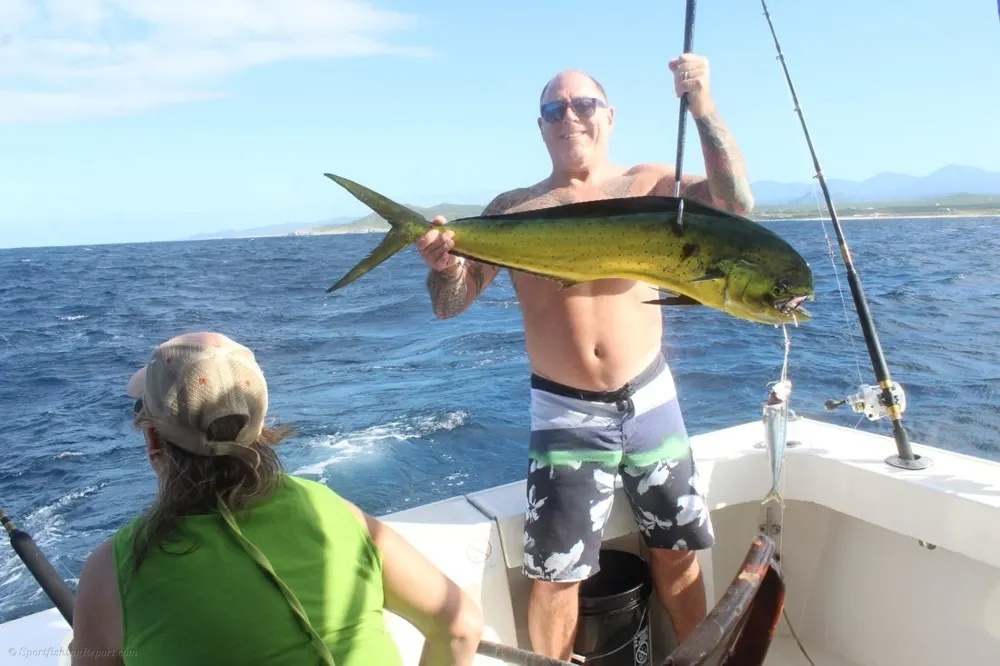 Marlin Battles and Dorado Thunder Deliver