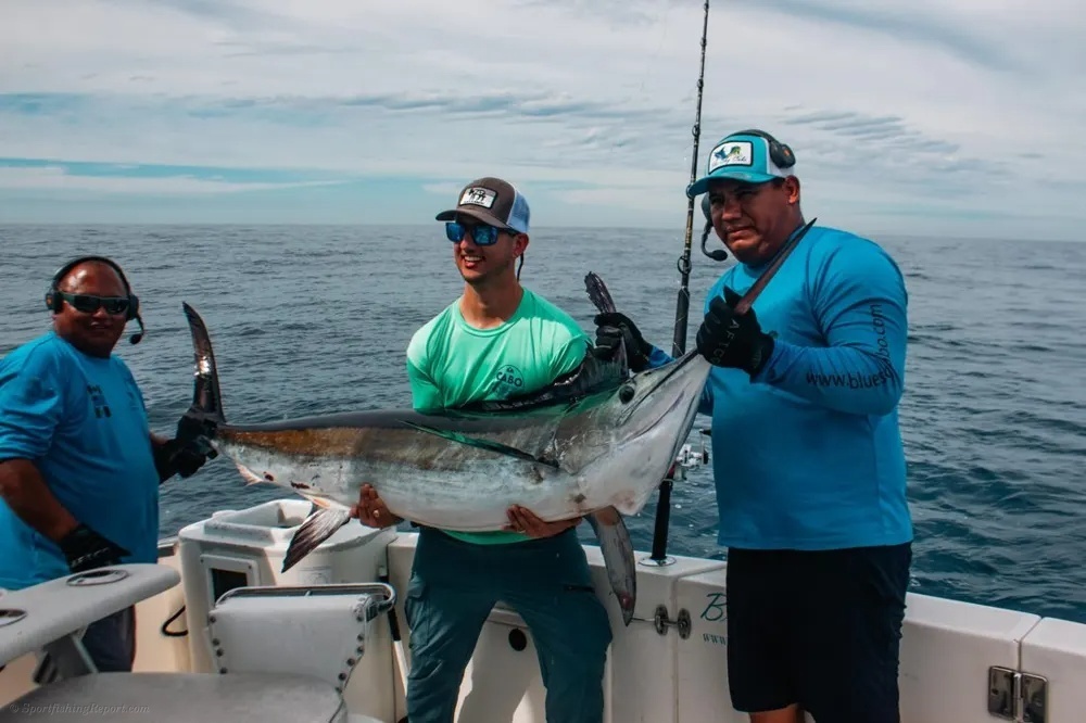 Marlin Strike off the Cabo Coast