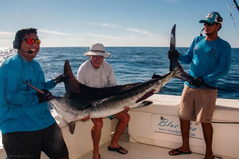 The Marlin Bite Is On off the Cabo Coast