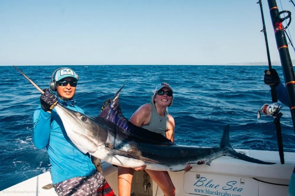 Marlin Strike off the Pacific Side