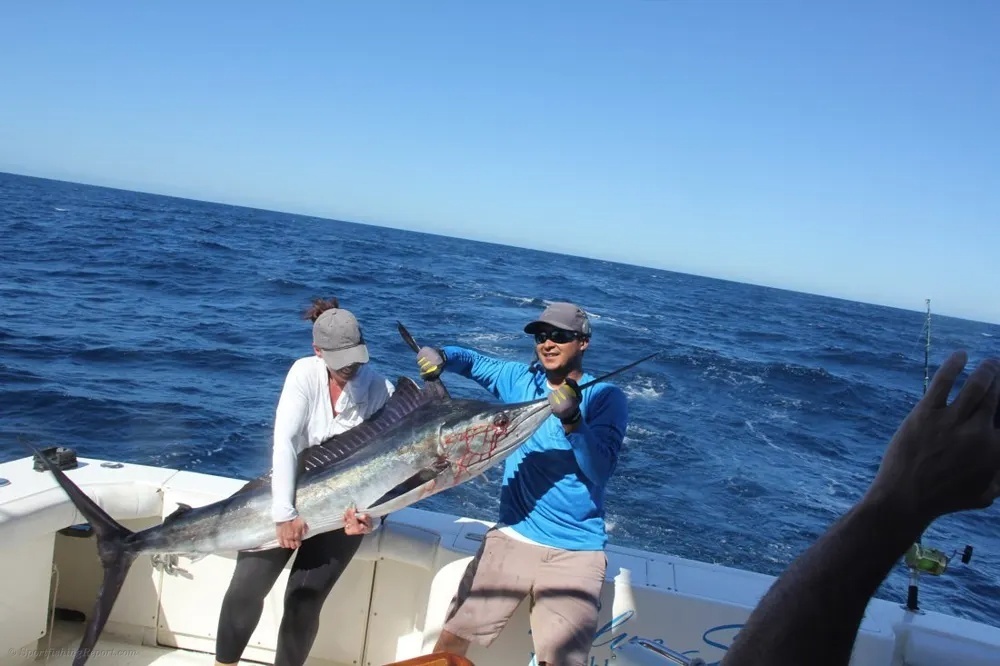 Acrobatic Marlin in Los Cabos