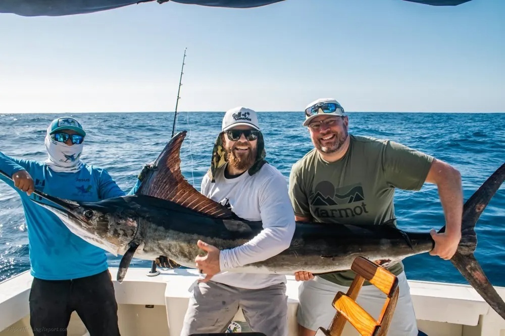 The Marlin Bite Is On in Los Cabos
