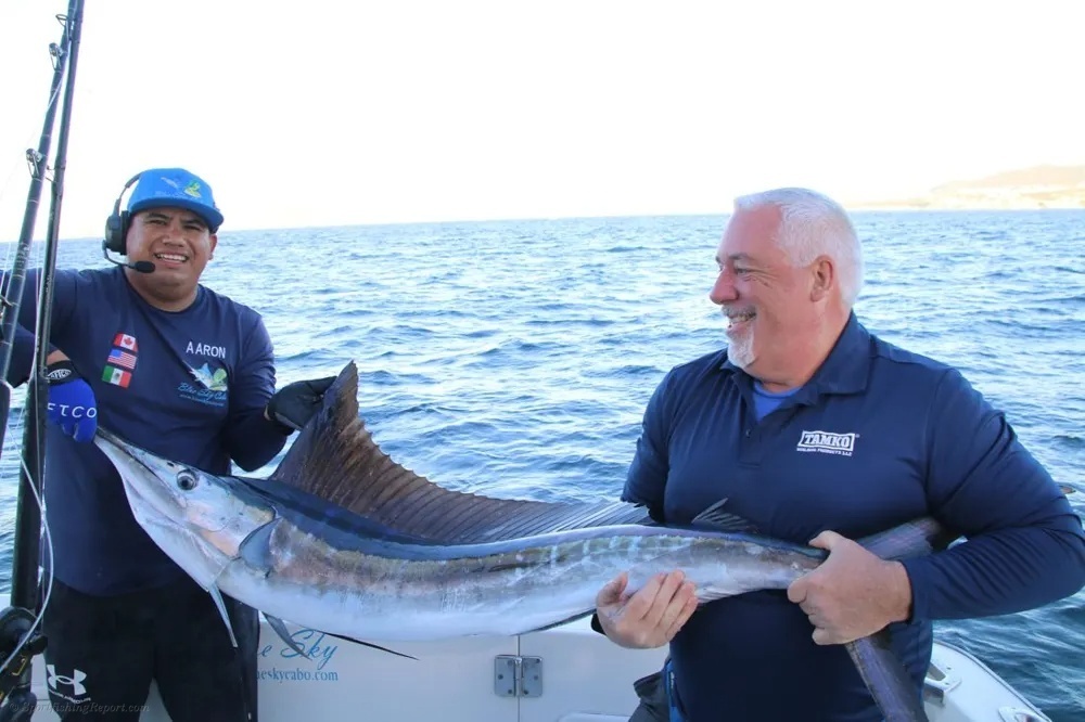 Marlin on the Line in Cabo San Lucas