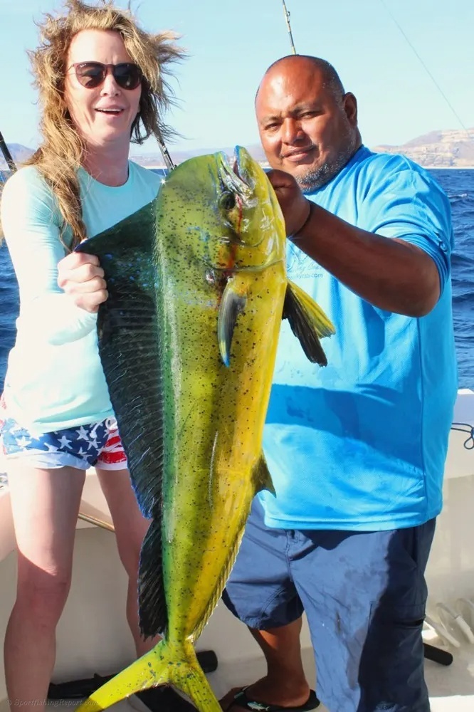Cabo Dorado Fight Takes Center Stage!