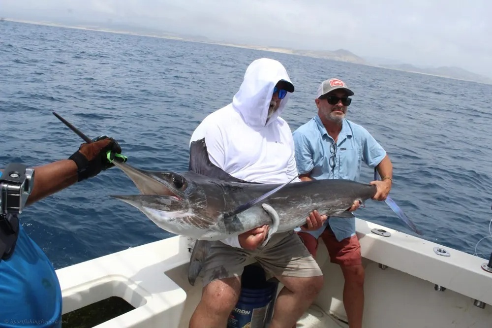 Marlin Madness and Dorado Power Collide