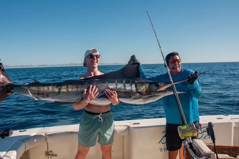 Marlin Adventure in Los Cabos