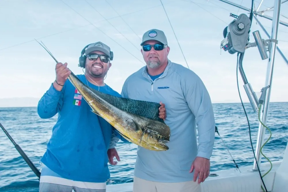 Marlin and Dorado – Two Pacific Powerhouses