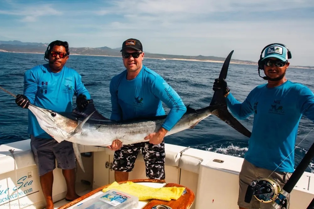 Tail-Walking Marlin off Land's End