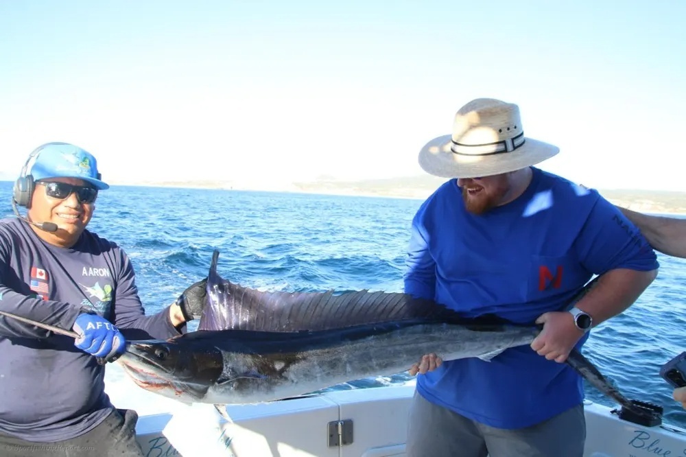 Marlin and Dorado – A Double Dose of Pacific Thunder