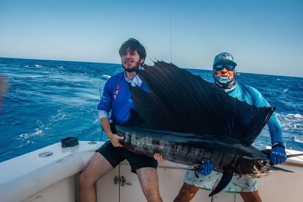 Marlin on the Line in the Sea of Cortez