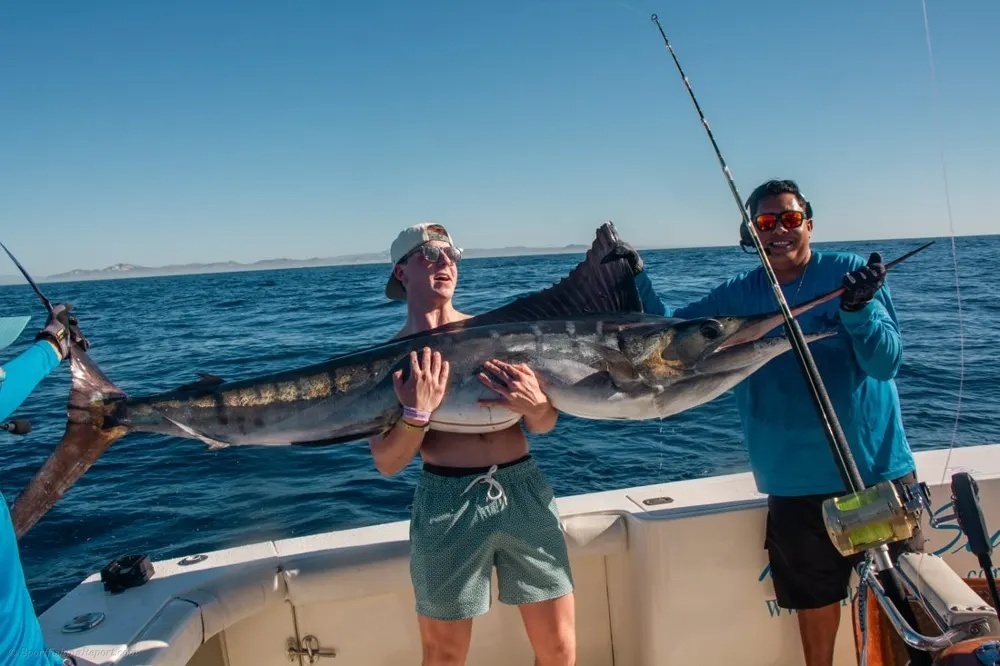 Marlin and Dorado – The Golden Doubleheader