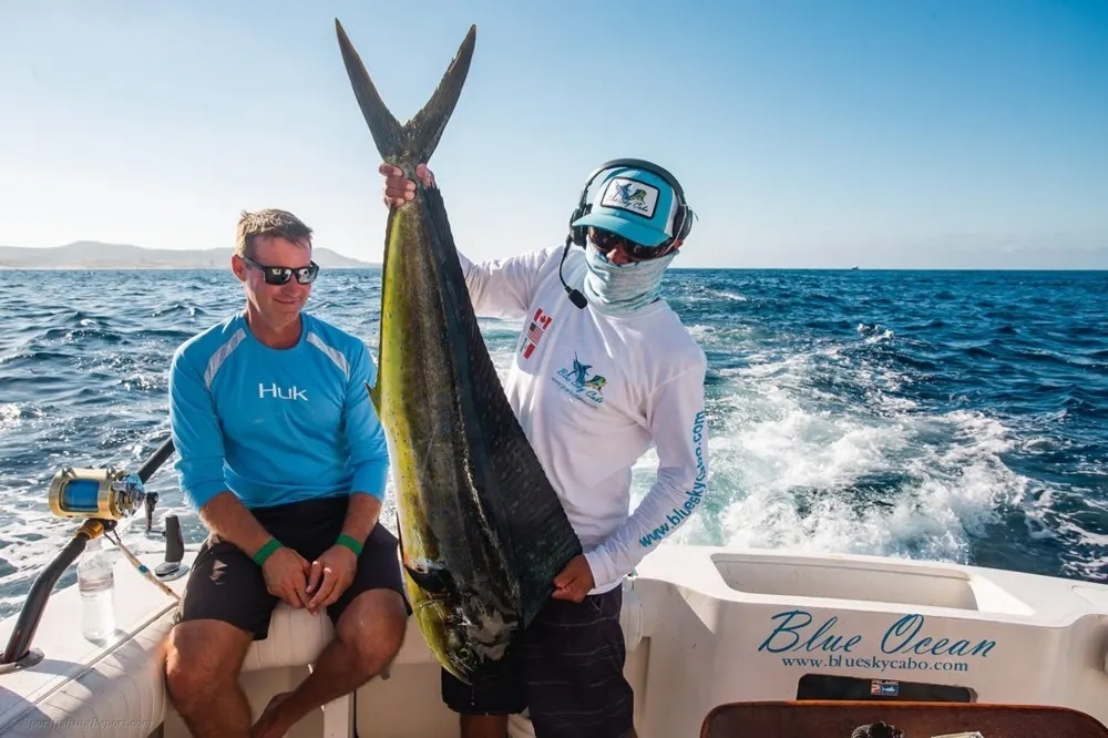 Blue Sky Cabo Finds the Dorado Bite!