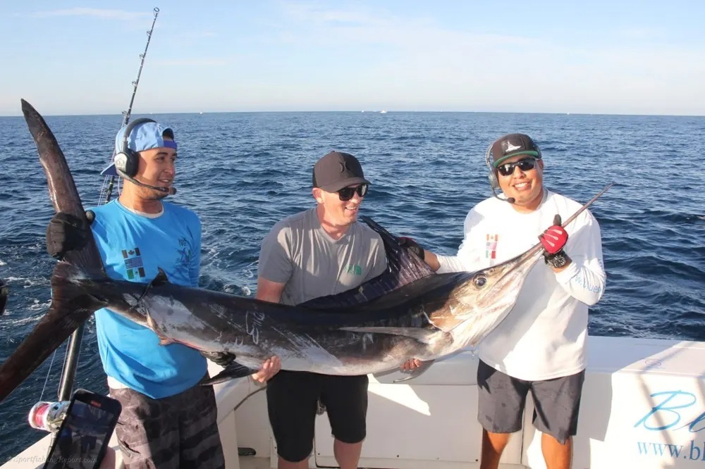 Marlin Strike in the Sea of Cortez